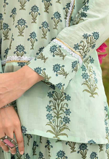 Mint Meadow Farshi Co-ord Set